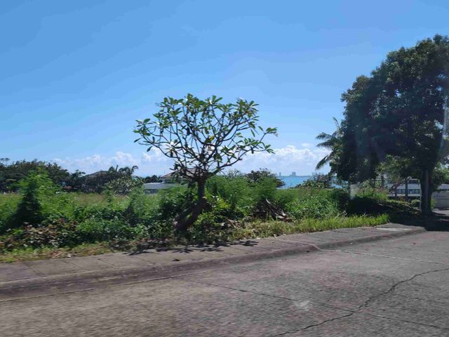 place photo 38