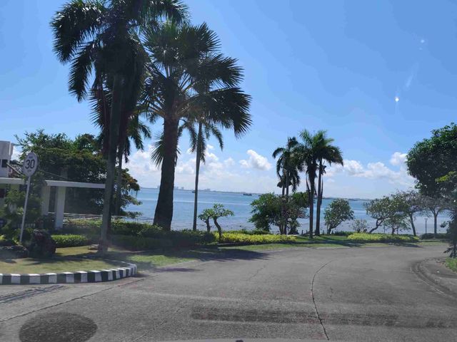 place photo 40