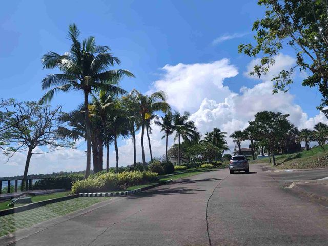 place photo 46