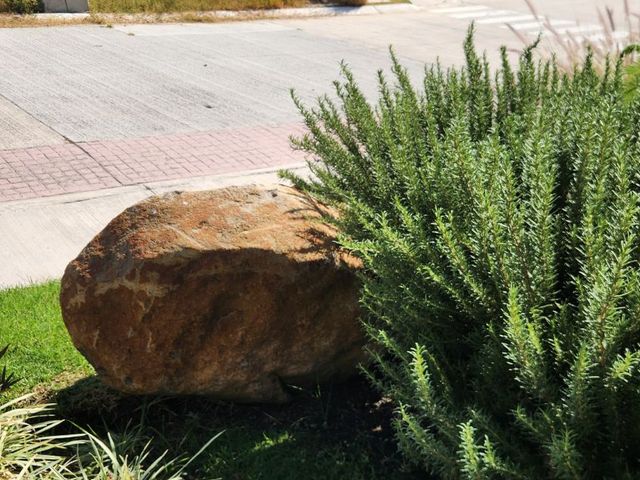 place photo 47