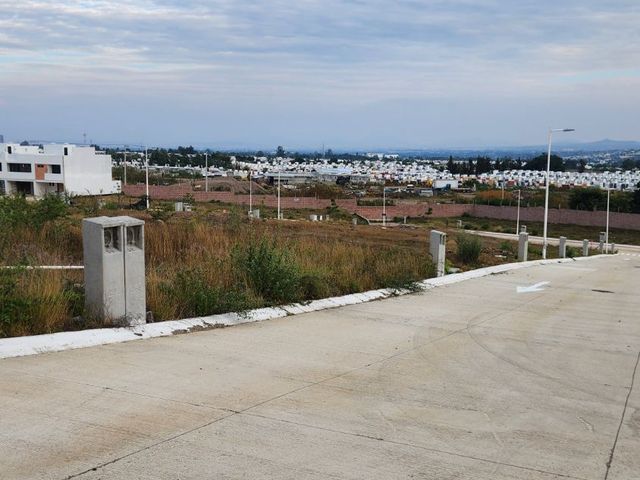 place photo 50