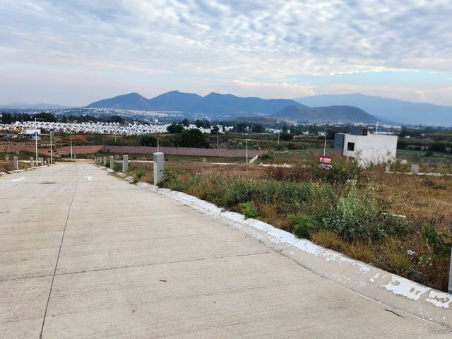 place photo 52