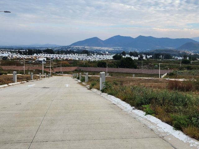 place photo 51
