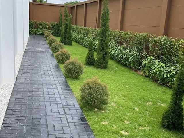 place photo 23