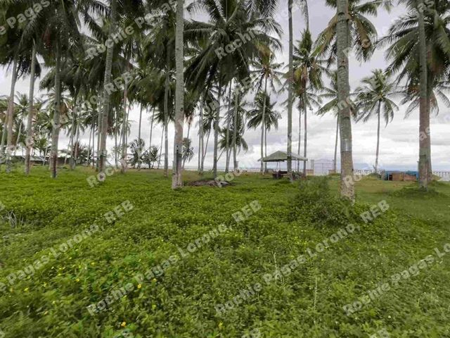 place photo 12