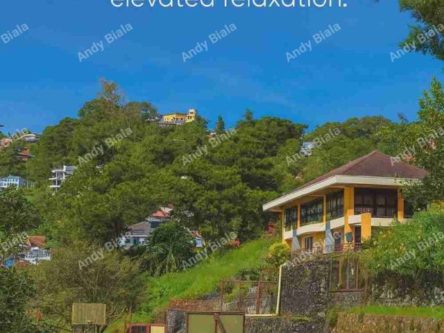 place photo 15