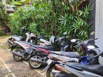 place photo 11