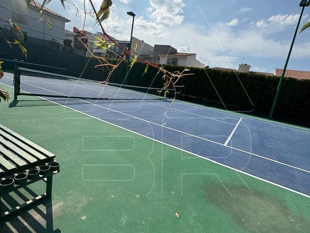 place photo 37