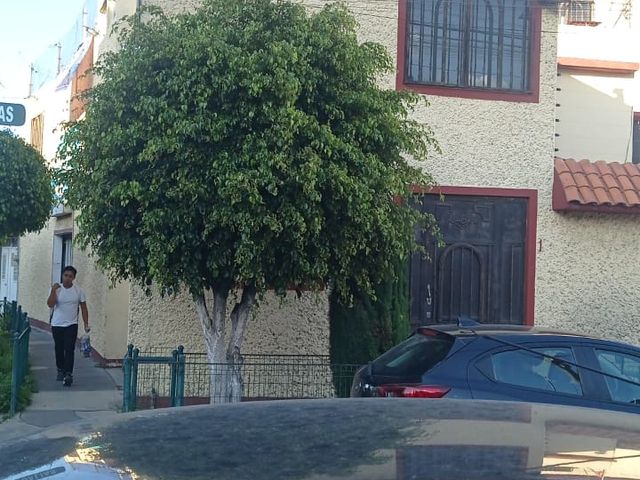place photo 61