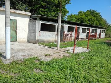place photo 18