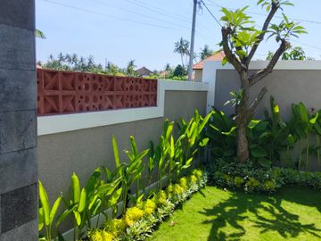 place photo 37