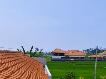 place photo 38