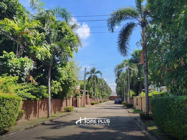 place photo 41