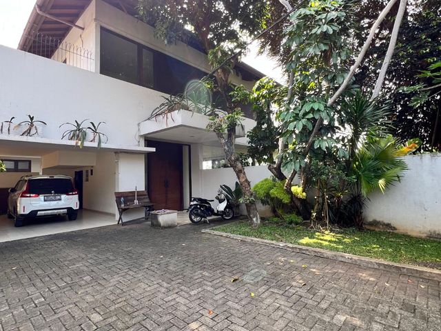 place photo 43