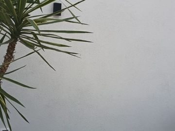 place photo 75