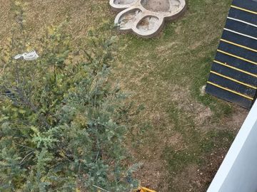 place photo 86