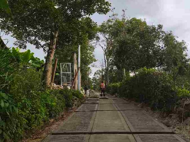 place photo 25