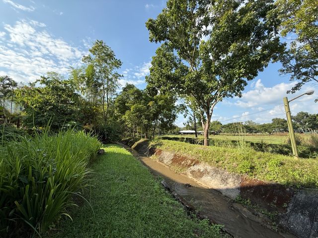 place photo 41