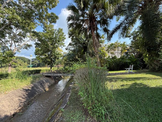 place photo 42
