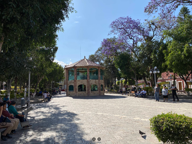 place photo 14