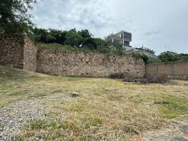 place photo 37