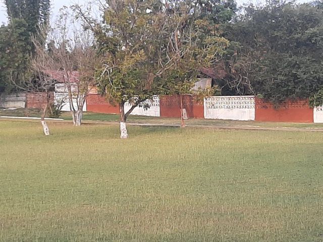 place photo 25