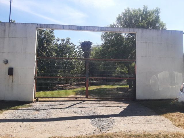 place photo 27