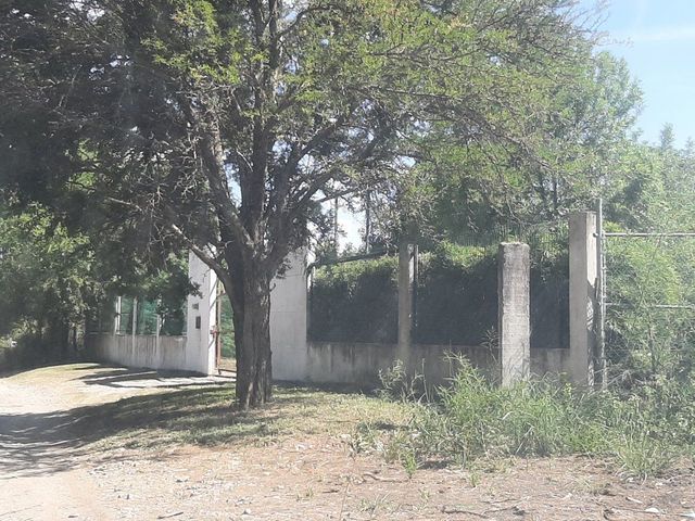 place photo 34