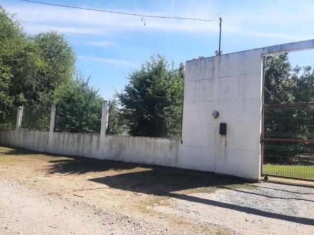 place photo 25