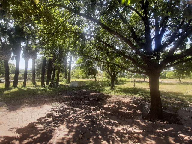 place photo 31