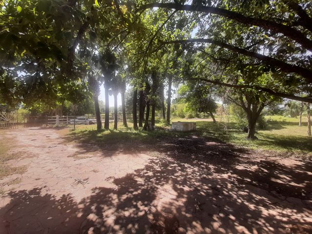 place photo 40
