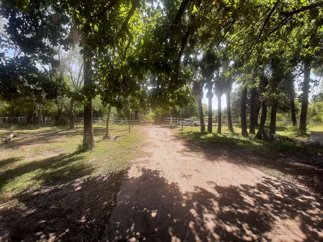 place photo 34