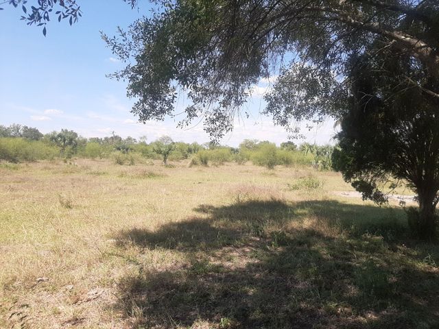 place photo 46