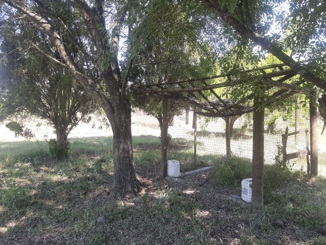 place photo 47