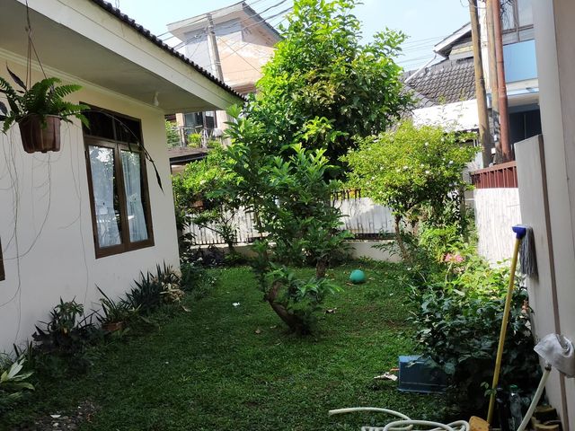 place photo 18