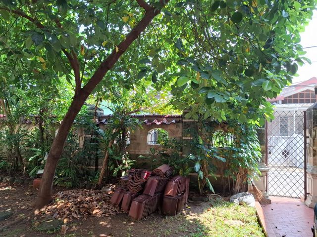 place photo 34