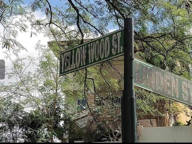 Vacant Residential Lot at Sun Valley Antipolo for Sale