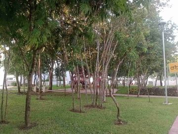 place photo 31