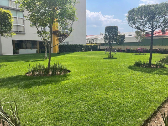 place photo 32