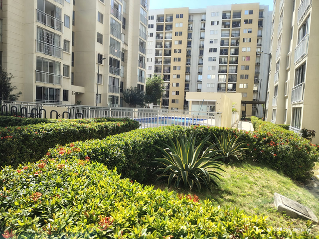 place photo 24