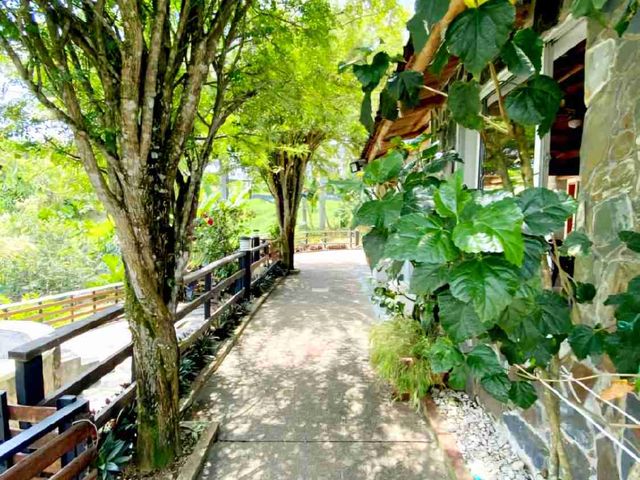 place photo 37
