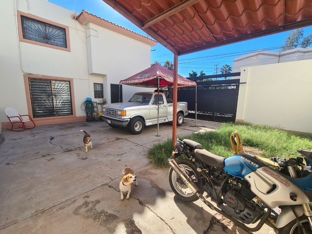 place photo 21