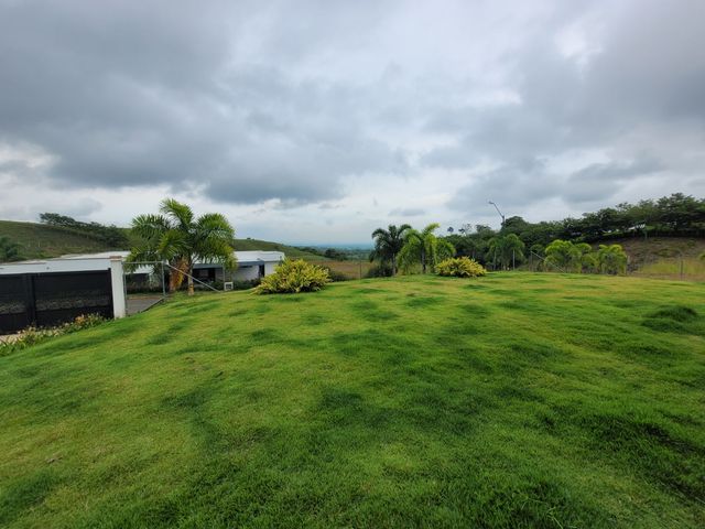 place photo 36