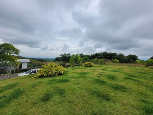place photo 46