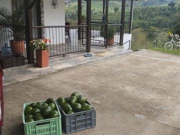 place photo 7