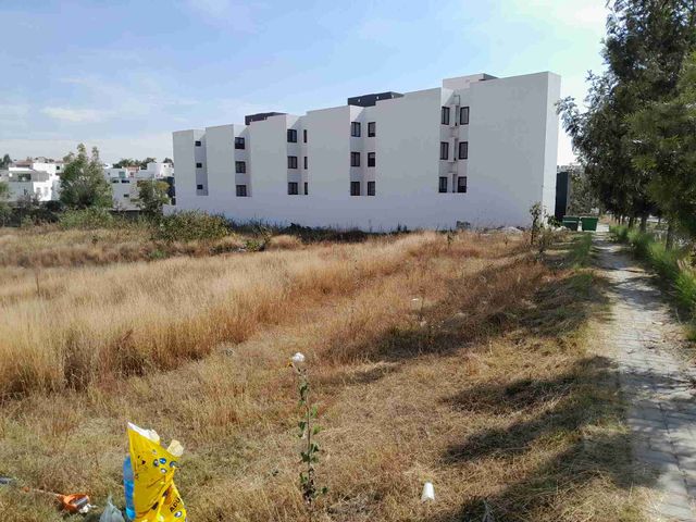 place photo 18