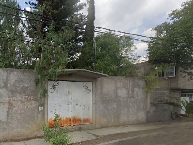 place photo 4