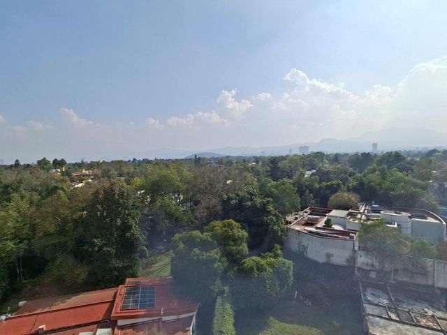 place photo 33