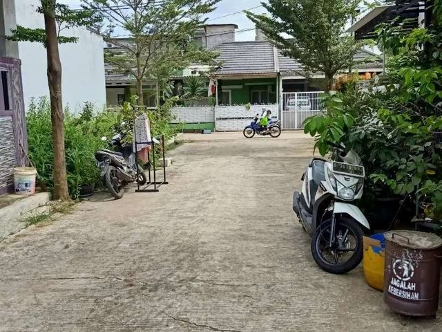 place photo 11