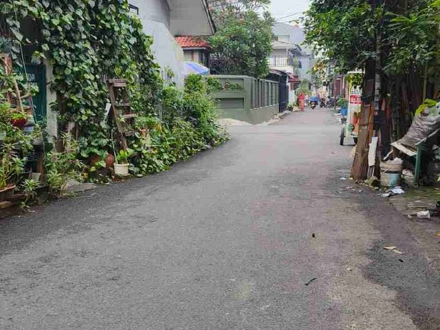 place photo 11